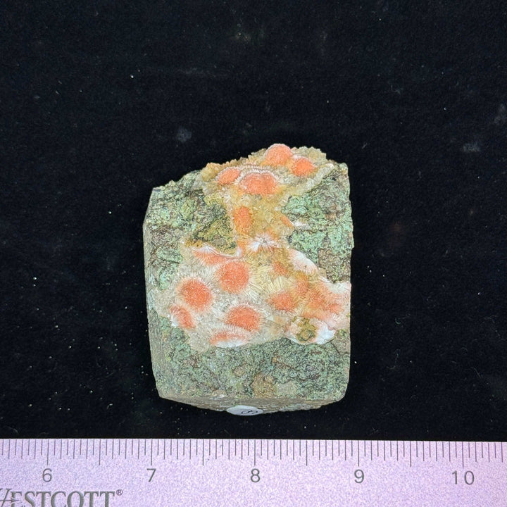 Thomsonite Specimen, India