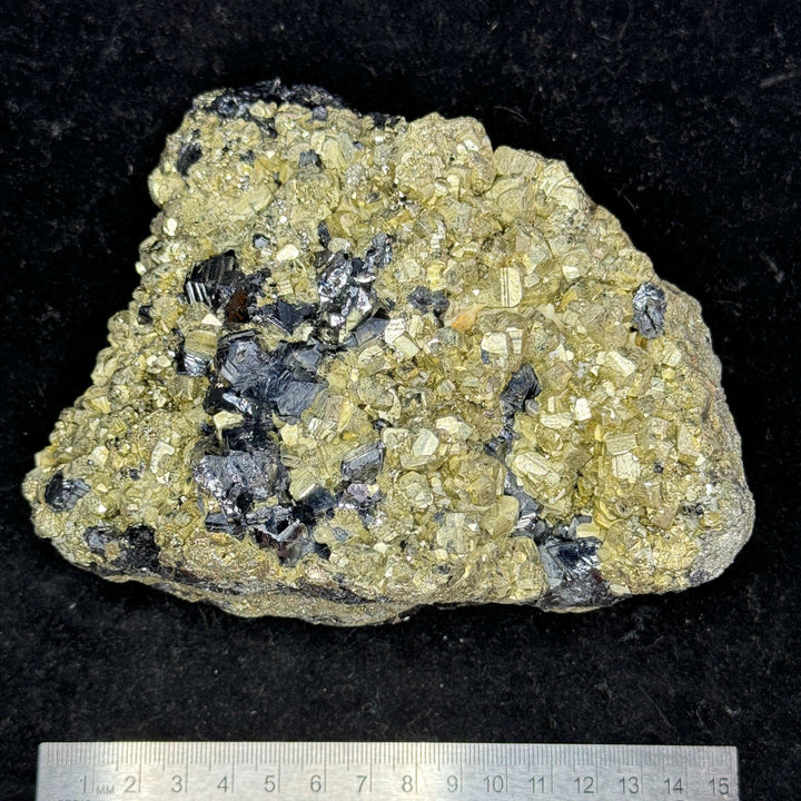 Pyrite with Schorl (Tourmaline) Specimen - Namibia