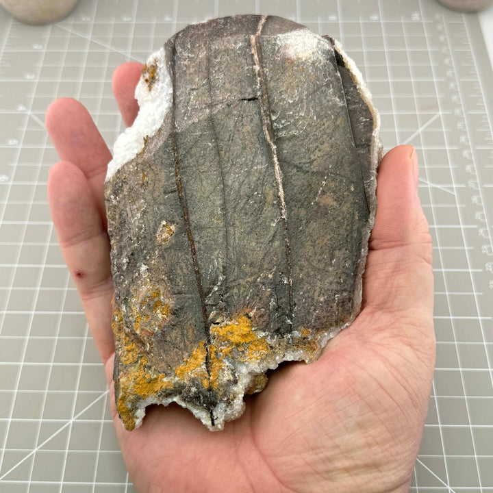 Calcite Aragonite Specimen  - Mexico