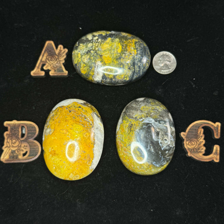 Bumblebee Jasper Palm Stone - Indonesia