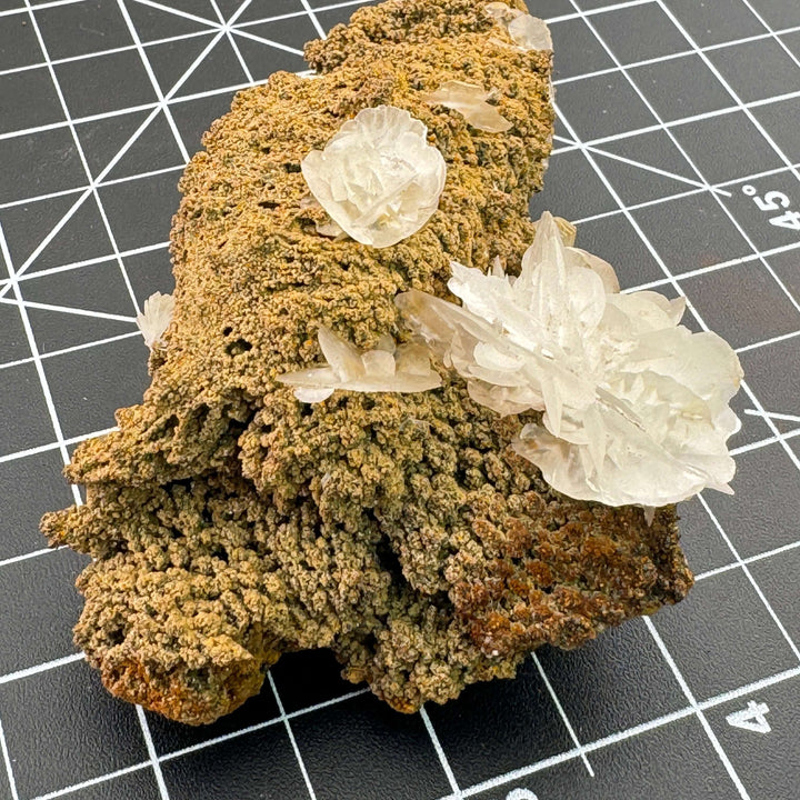 "Mouse Ear" Calcite - Mexico