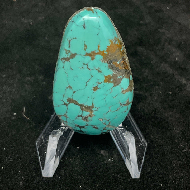 Campitos Turquoise Cabochon