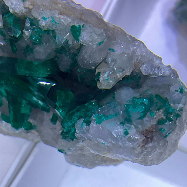 Dioptase on Quartz Specimen - Namibia