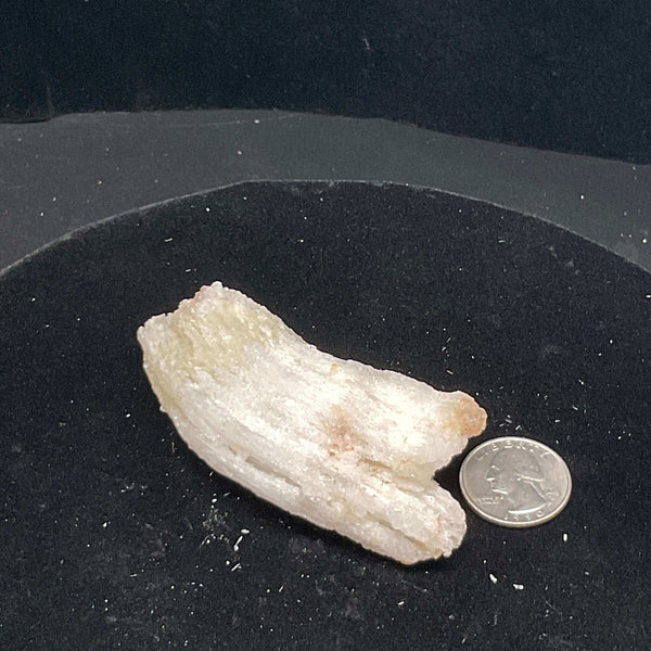 "Rams Horn" Selenite Gypsum Specimen  w/ Novacekite (74g)