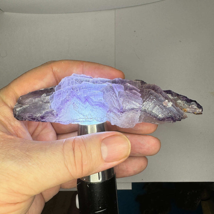 El Filo Fluorite - Mexico - 240g