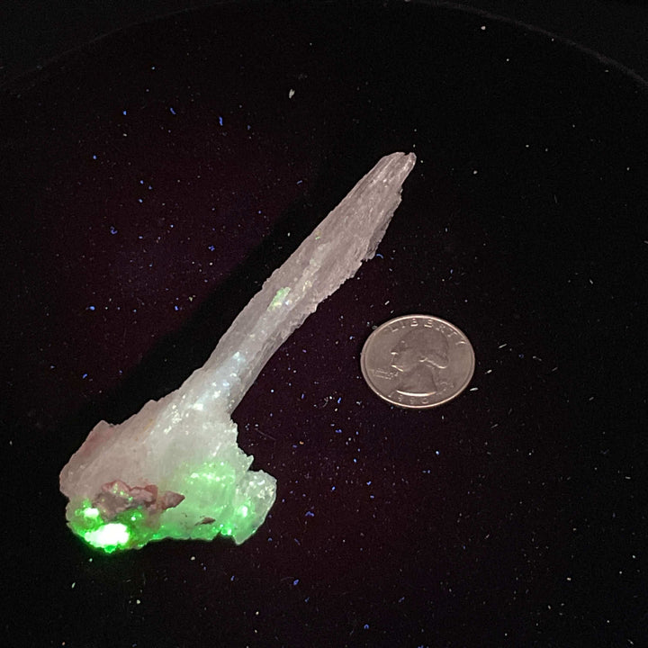 "Rams Horn" Selenite Gypsum Specimen w/ Novacekite  (30g)