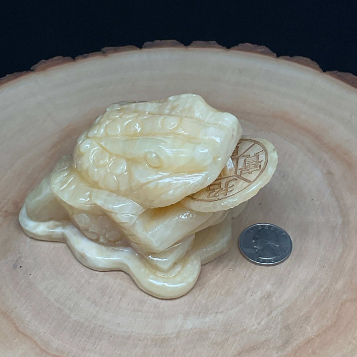 Money Frog Carving - 3.5 inch