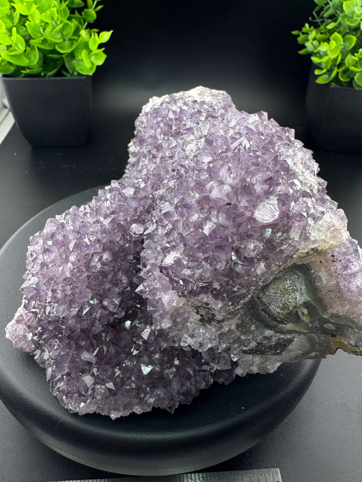 Amethyst Cluster - Uruguay