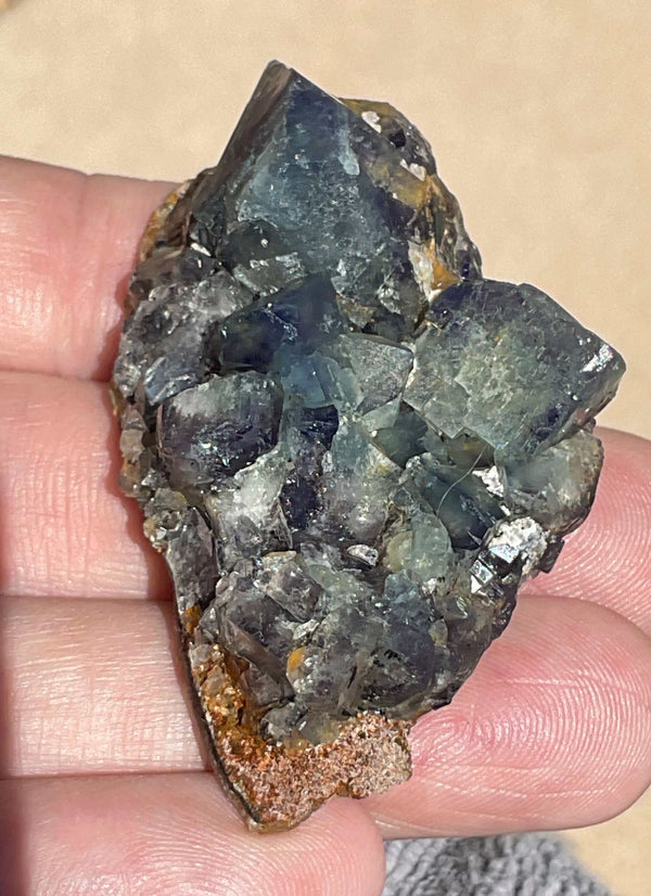 Diana Maria Fluorite - Hidden Forest Pocket (C)