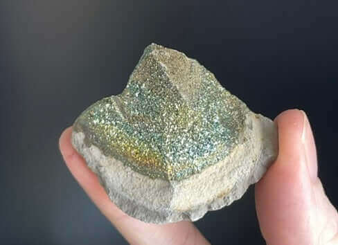 Rainbow Pyrite Concretion