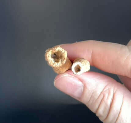 Fulgurite (Small)