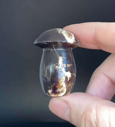 Amber Mushroom