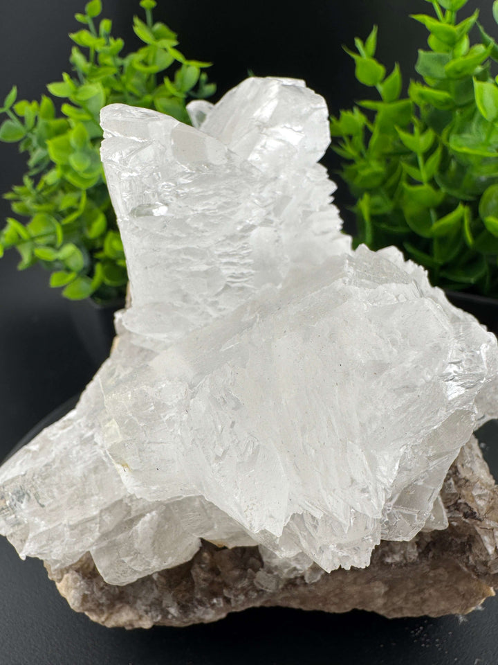 "Fishtail" Selenite /  Gypsum Specimen - Sierra Mojada, Mexico