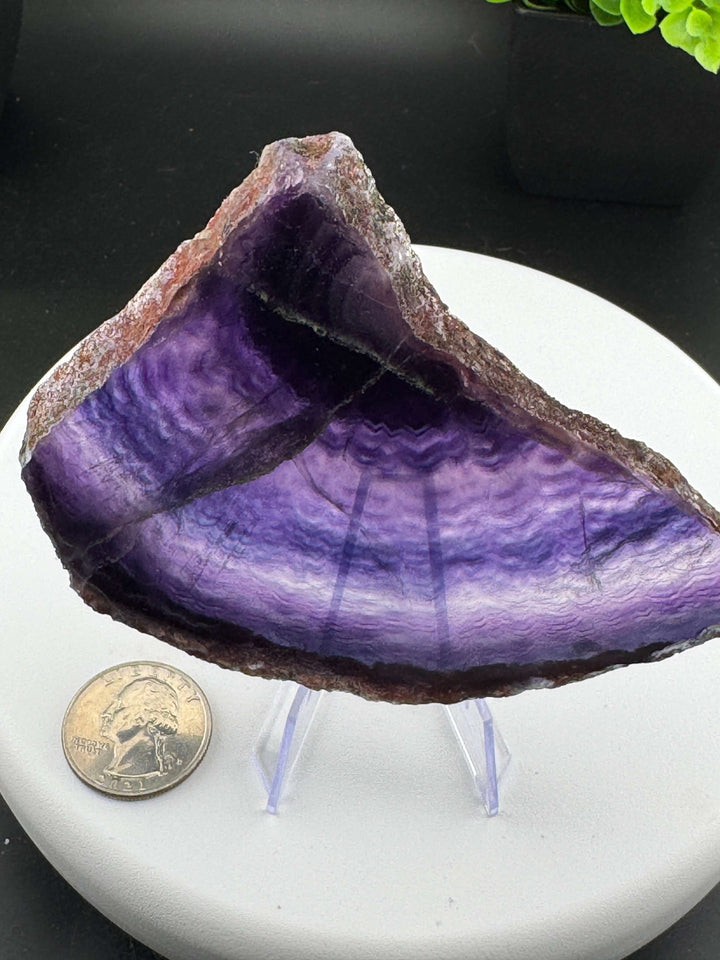 Beautiful mix of Rainbow Fluorite slabs from China. Wonderful mix of purples, blues, teals, and other colors in between! Some pieces have natural crack line formations. Some slabs have a varying thickness, as specified below. A) 4in x 2.5in x 9mm B) 3.25i