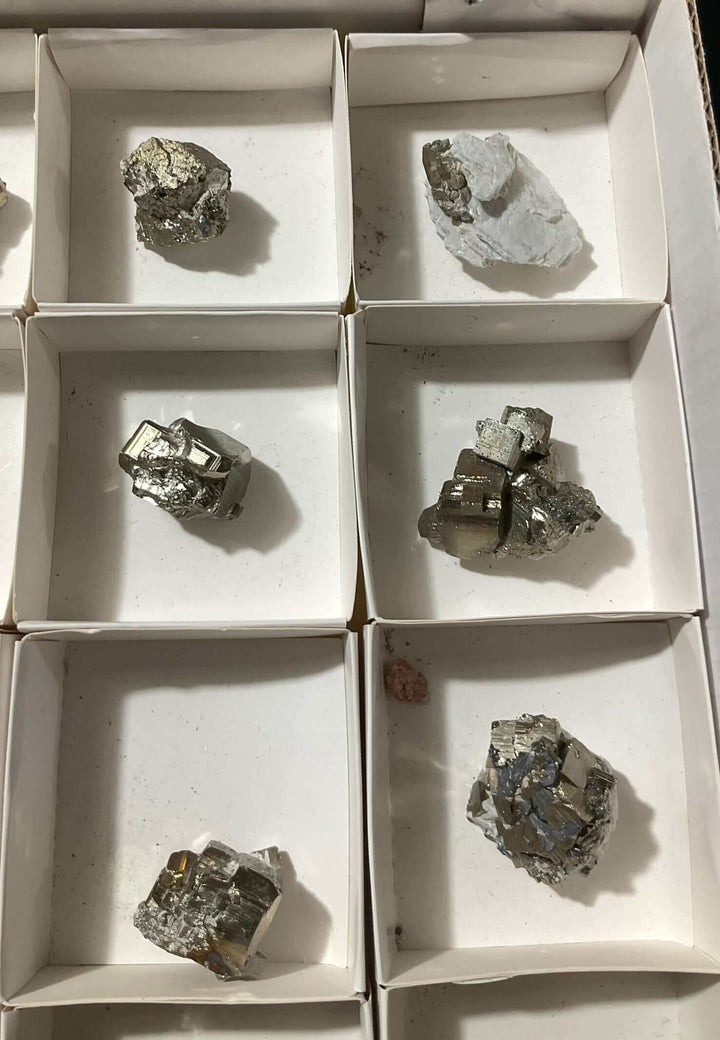 Pyrite specimen (Medium)