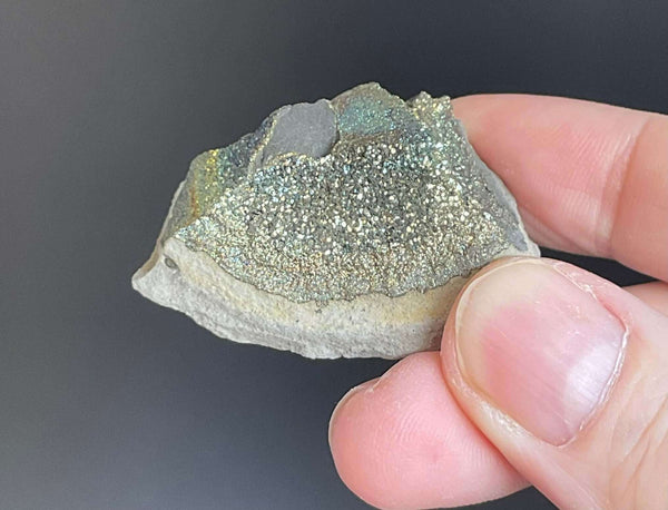 Rainbow Pyrite Concretion