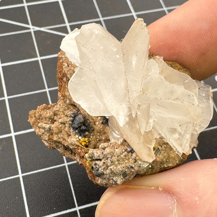 "Mouse Ear" Calcite - Mexico