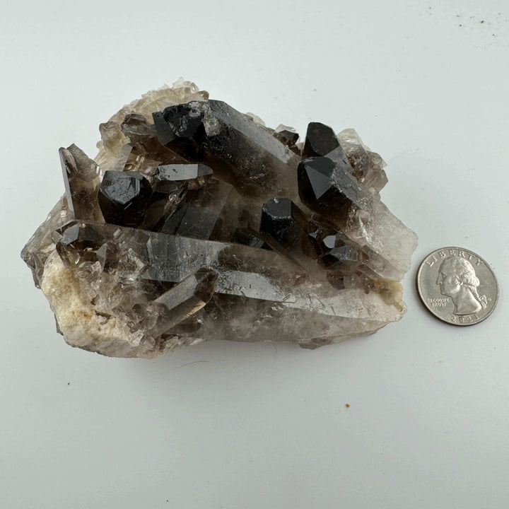 Smokey Quartz Cluster