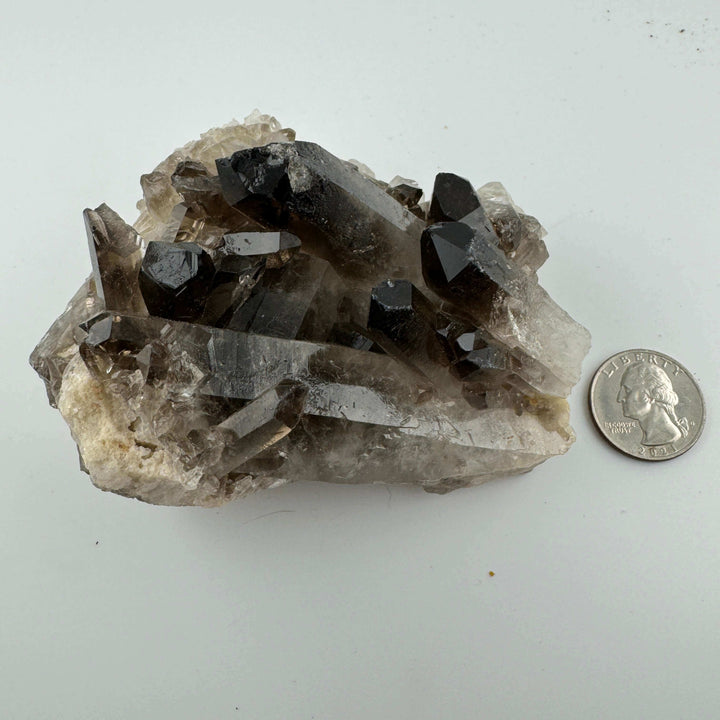 Smokey Quartz Cluster