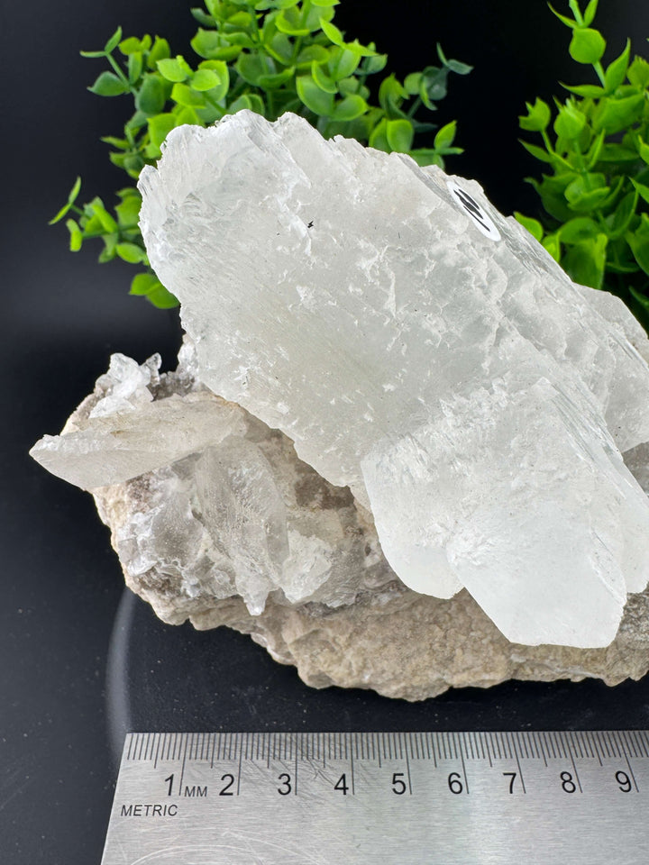 "Fishtail" Selenite /  Gypsum Specimen - Sierra Mojada, Mexico