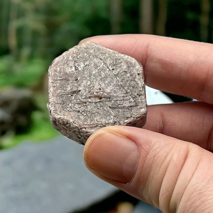 Natural Hexagonal Ruby Corundum w/ Record keepers