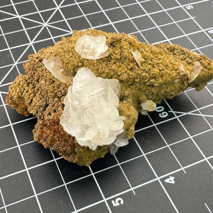 "Mouse Ear" Calcite - Mexico