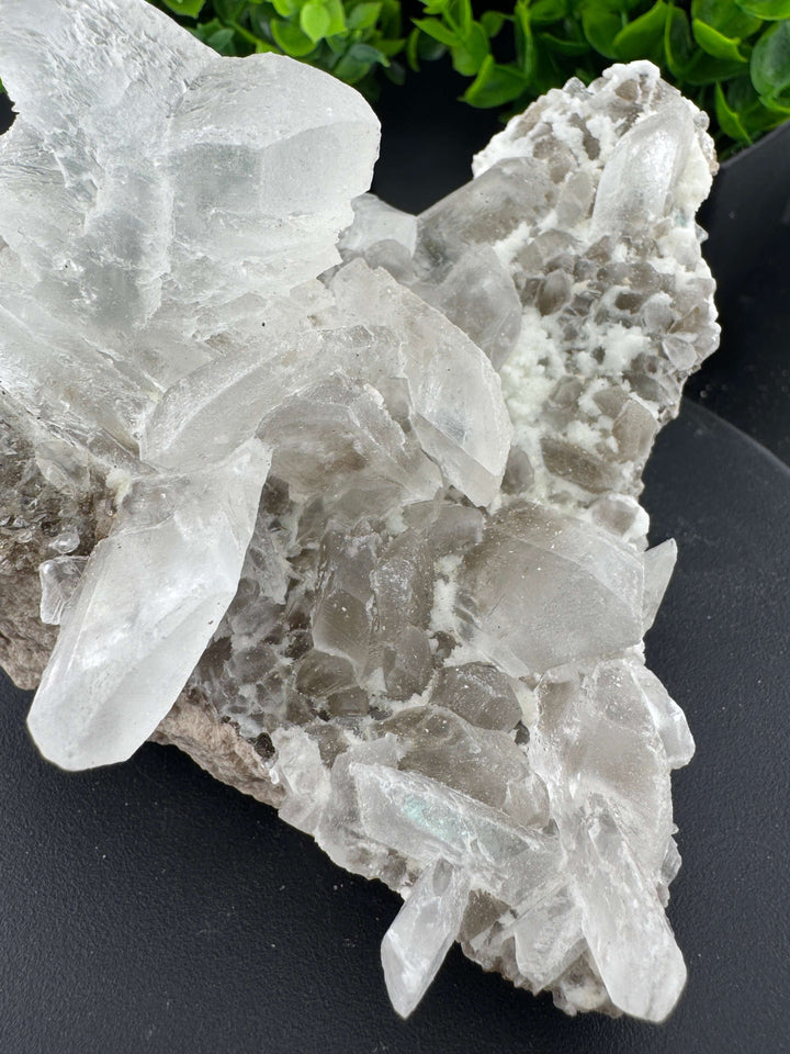"Fishtail" Selenite /  Gypsum Specimen - Sierra Mojada, Mexico