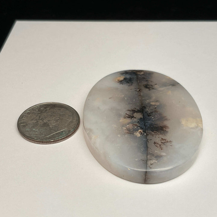 White Dendritic Opal Cabochons