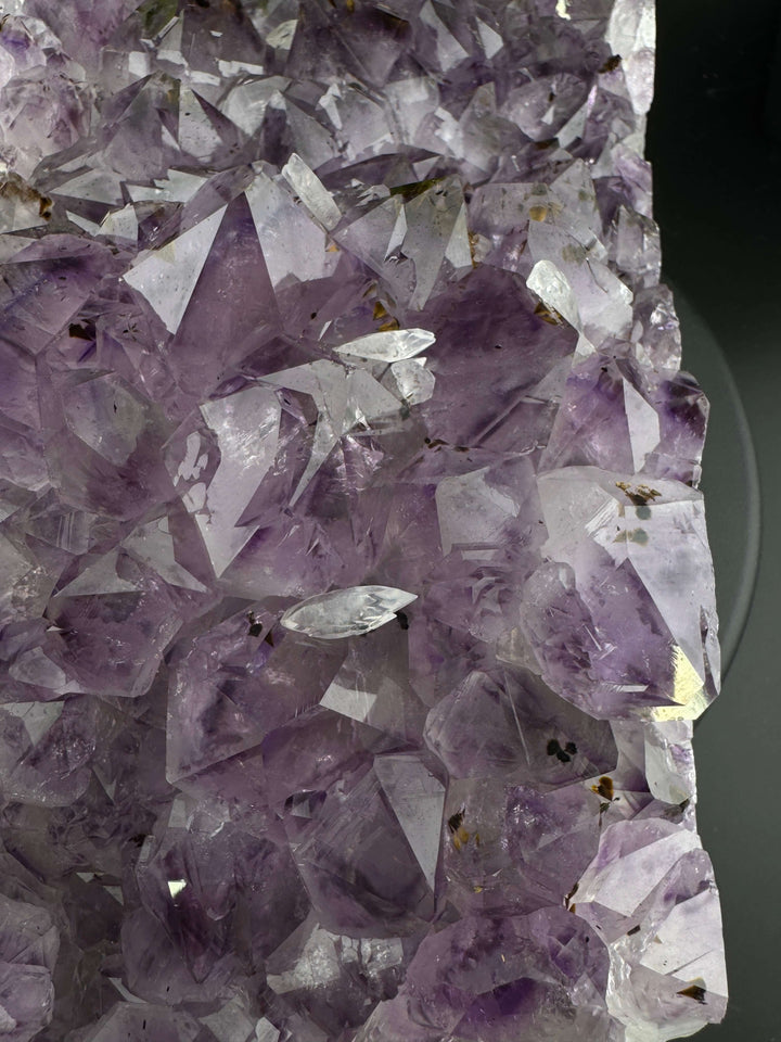 Amethyst Cluster with Golden Rutile - Brazil