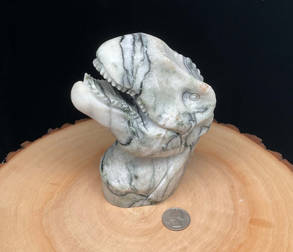Carving - Picasso Stone / Netted Jasper Dinosaur Head - 6 inch