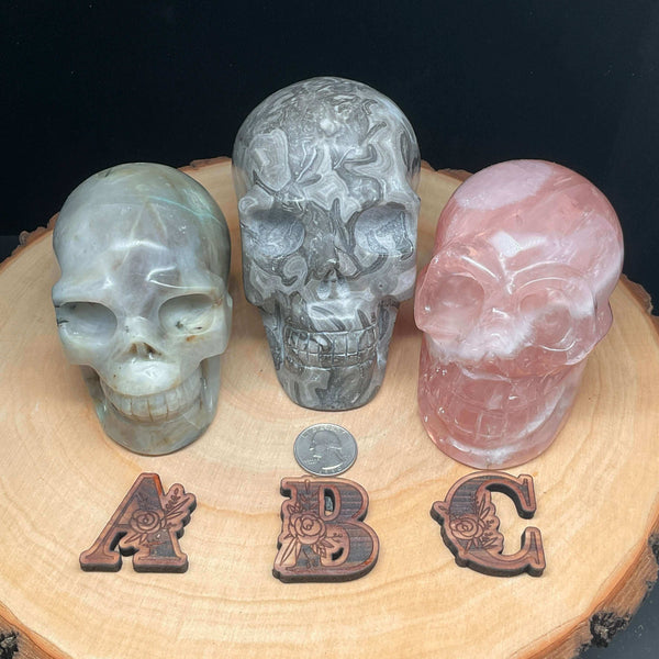 Carving - Various Medium Skulls