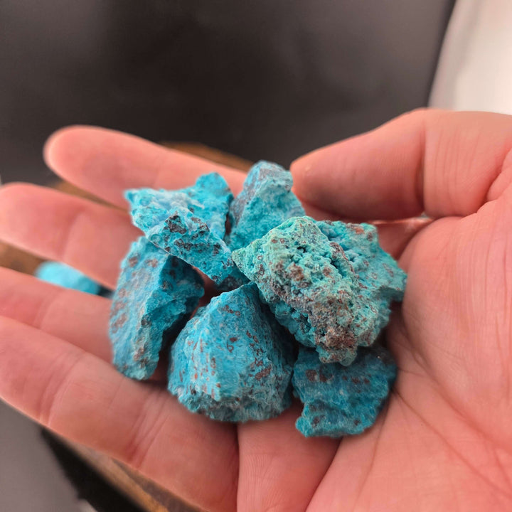 Hand holding vibrant blue raw chrysocolla stones from San Carlos, Arizona.