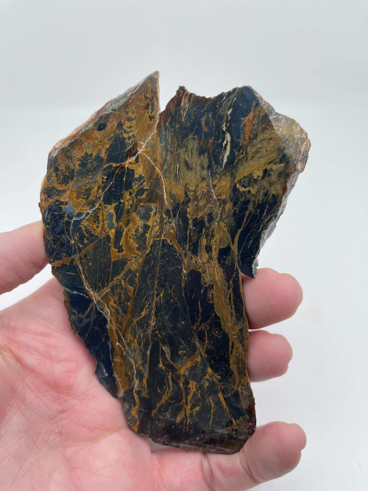 Blue Opalized Petrified Wood Slab (143g)