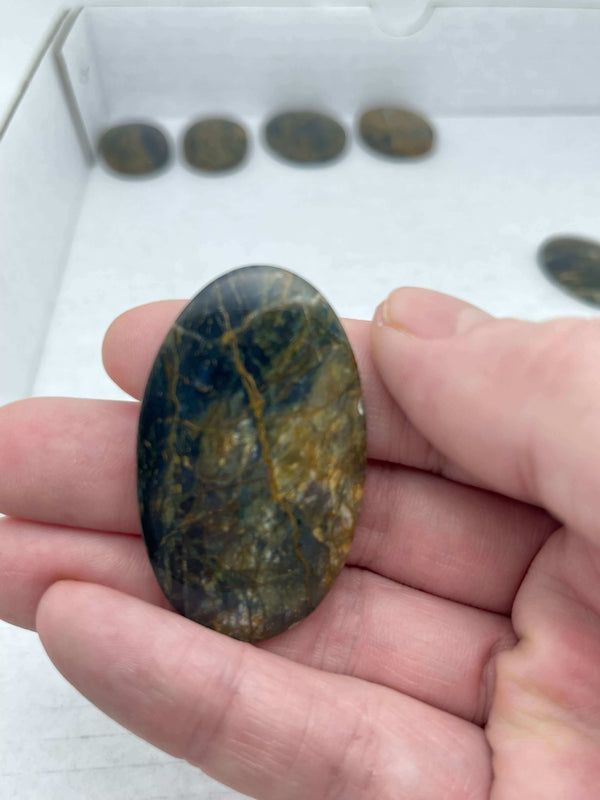 Blue Opalized Petrified Wood Medallion (16g)