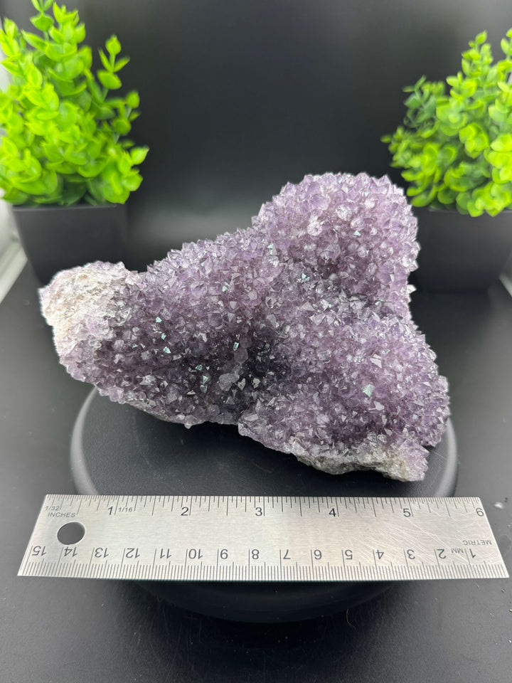 Amethyst Cluster - Uruguay