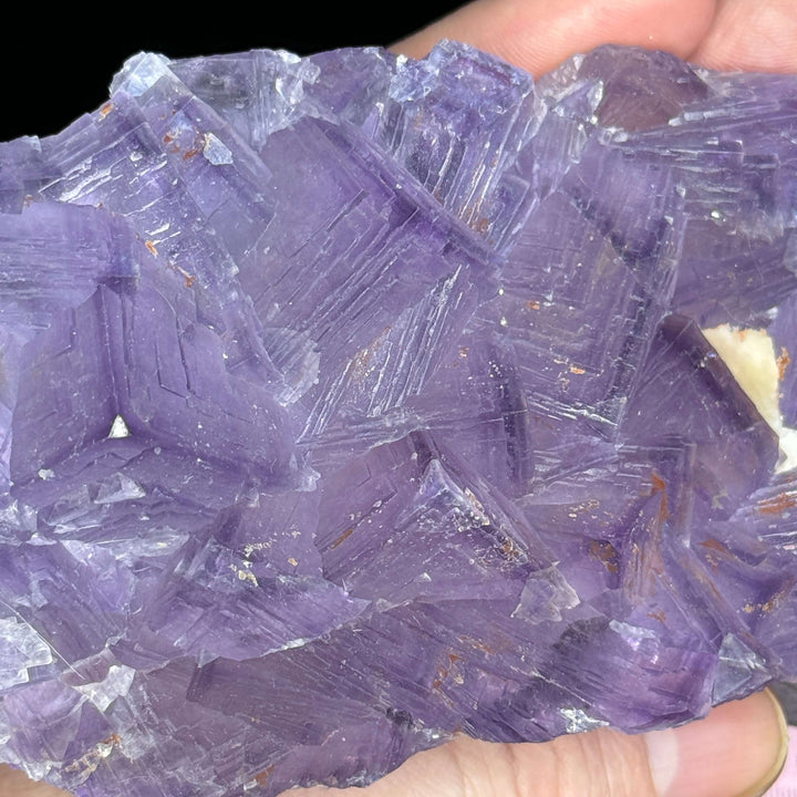 El Filo Fluorite - Mexico