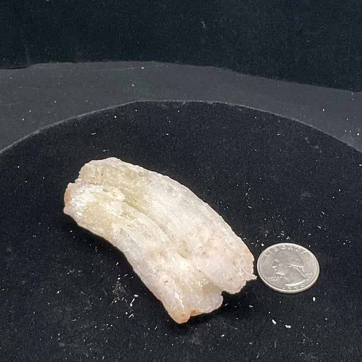 "Rams Horn" Selenite Gypsum Specimen  w/ Novacekite (74g)