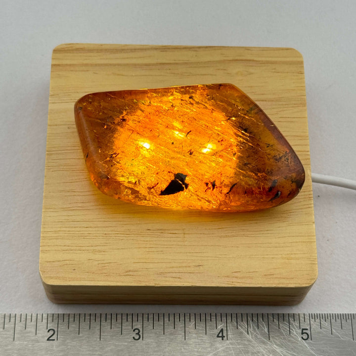 Chiapas Amber Free Form - Chiapas, Mexico