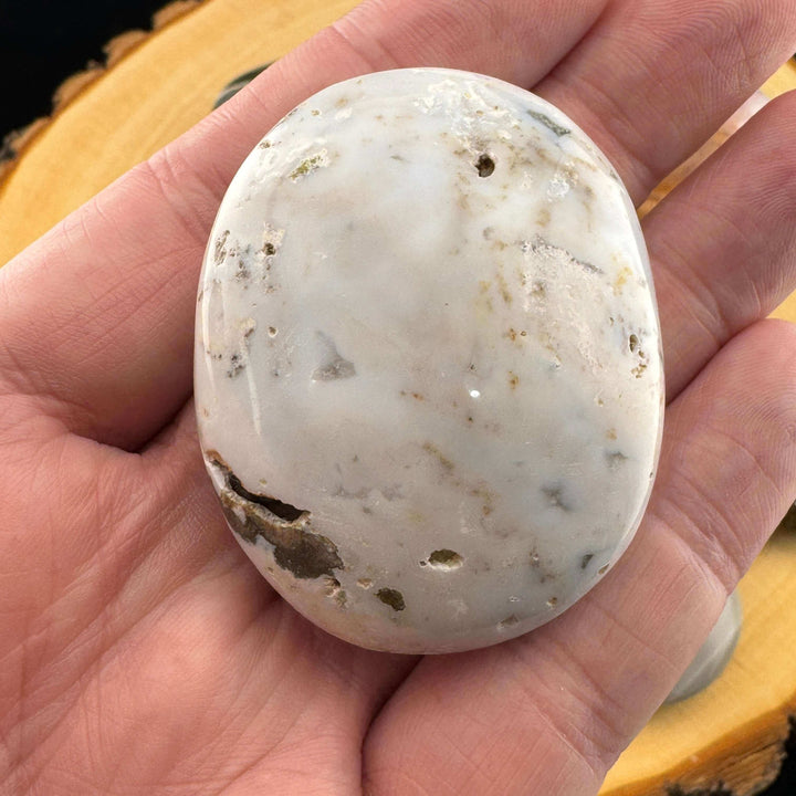 Orbicular Jasper Palm Stone