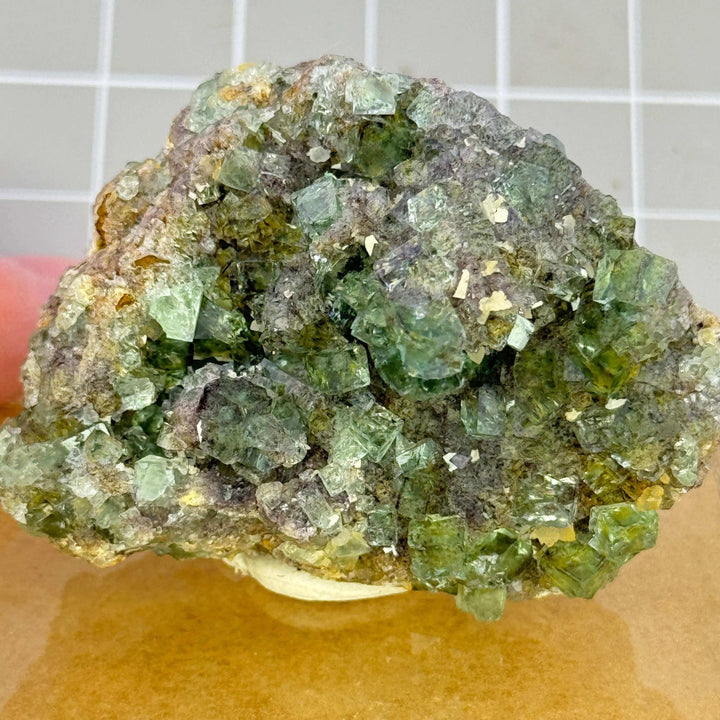 Fluorite, Okorusu Mine, Otjiwarongo, Namibia