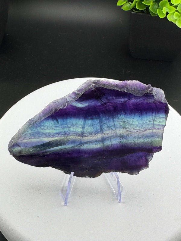 Beautiful mix of Rainbow Fluorite slabs from China. Wonderful mix of purples, blues, teals, and other colors in between! Some pieces have natural crack line formations. Some slabs have a varying thickness, as specified below. A) 4in x 2.5in x 9mm B) 3.25i