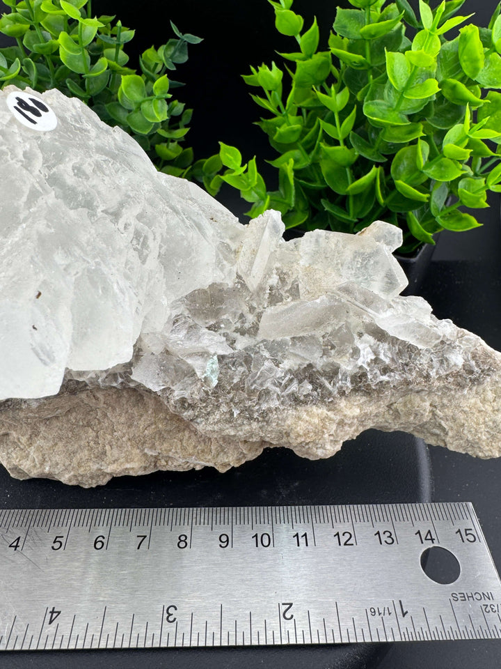 "Fishtail" Selenite /  Gypsum Specimen - Sierra Mojada, Mexico