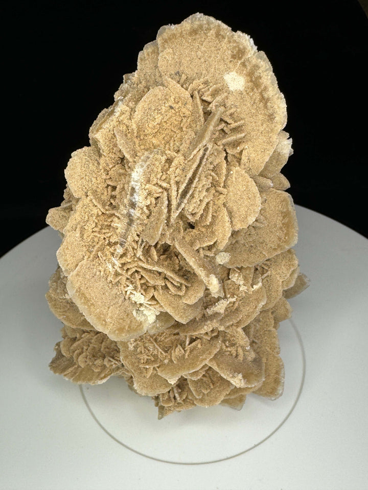 Sand Selenite Desert Rose Gypsum - Mexico