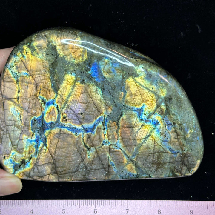 Labradorite Free Form