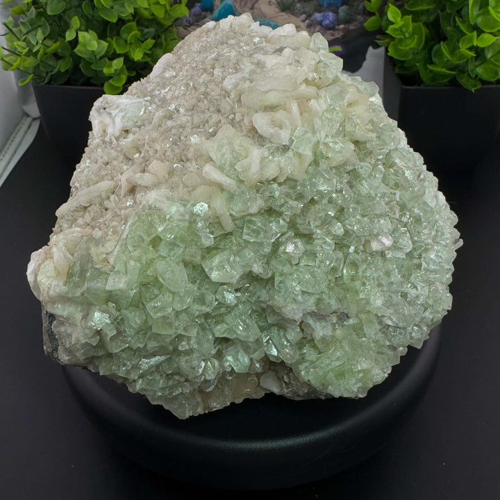 Apophyllite w/ Stilbite Specimen - India