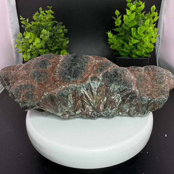 Seraphinite Rough/Specimen