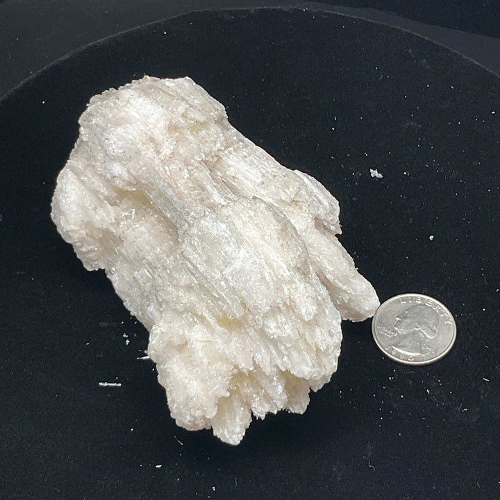 "Rams Horn" Selenite Gypsum Specimen w/ Novacekite  (330g)