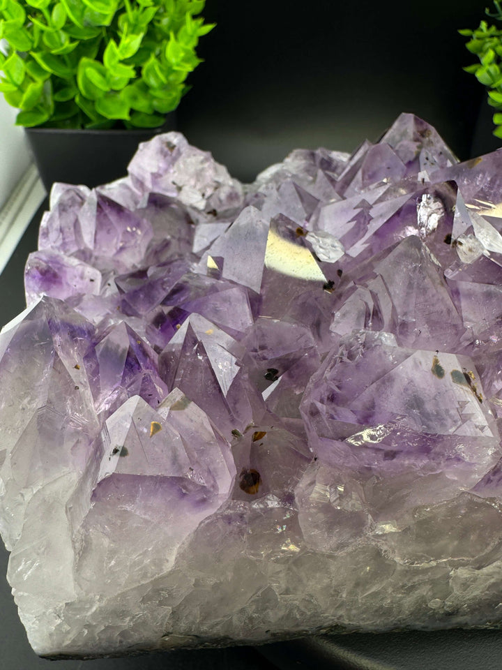 Amethyst Cluster with Golden Rutile - Brazil