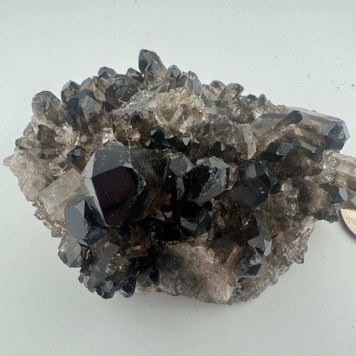 Smokey Quartz Cluster