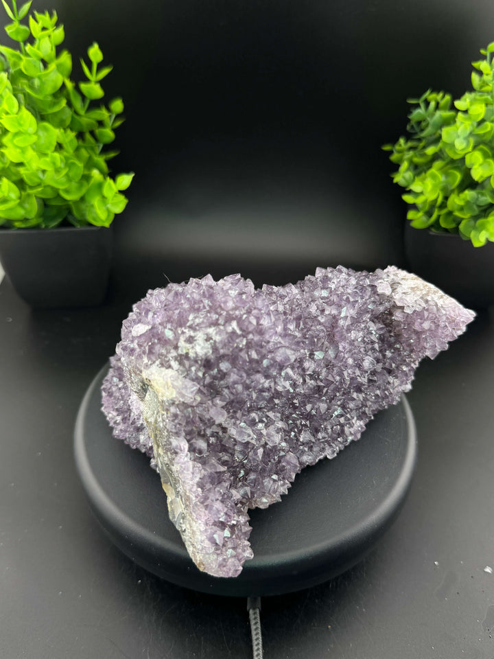 Amethyst Cluster - Uruguay